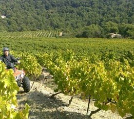 Prospection en Quad - cliquez pour agrandir