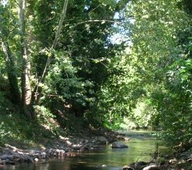 La Gapeau à La Crau (83) - cliquez pour agrandir