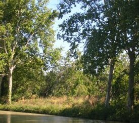 Foyer assaini - cliquez pour agrandir