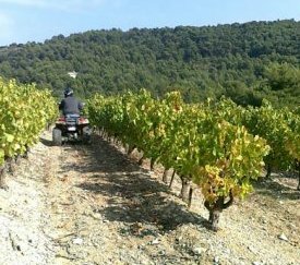 Prospection en Quad - cliquez pour agrandir