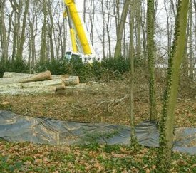 Chantier d'abattage - fossé protégé par une bâche - cliquez pour agrandir