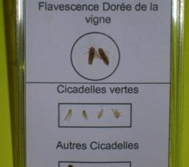 Boite de Reconnaissance - cliquez pour agrandir