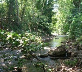 La Gapeau à la Crau (83) - cliquez pour agrandir