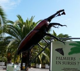 exposition Parc Phoenix Nice - cliquez pour agrandir