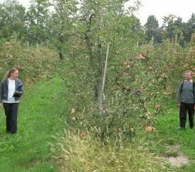 40.Prospection parcelle - cliquez pour agrandir