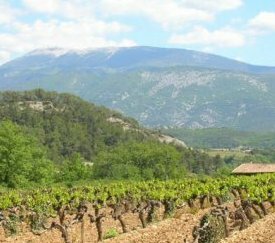 Le Ventoux - cliquez pour agrandir
