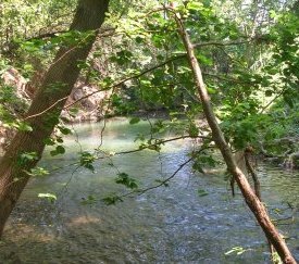 Le Gapeau à la Crau (83) - cliquez pour agrandir