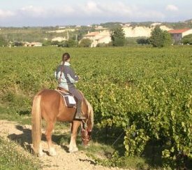 Prospection à Cheval - cliquez pour agrandir