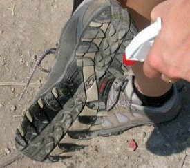 Désinfection chaussures - cliquez pour agrandir