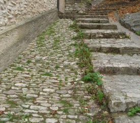 Acceptation de la végétation spontanée - Vaison la romaine - cliquez pour agrandir