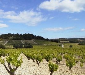 Bassin versant de la Gayère (84) - cliquez pour agrandir