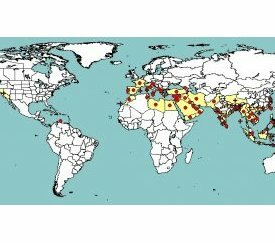 localisation mondiale, source oepp - cliquez pour agrandir
