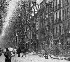 Platanes Rue de Rome à Marseille, 1954 - cliquez pour agrandir