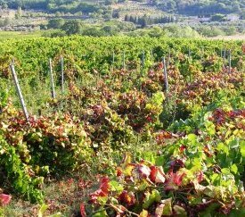 40. - cliquez pour agrandir