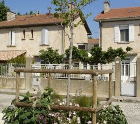 Pied d'arbre végétalisé - cliquez pour agrandir