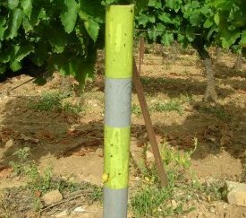 Piège - cliquez pour agrandir