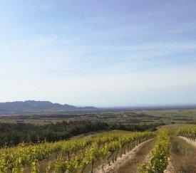 Plaine d'Orange (84) - cliquez pour agrandir