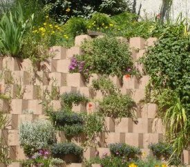 Mur végétalisé - cliquez pour agrandir